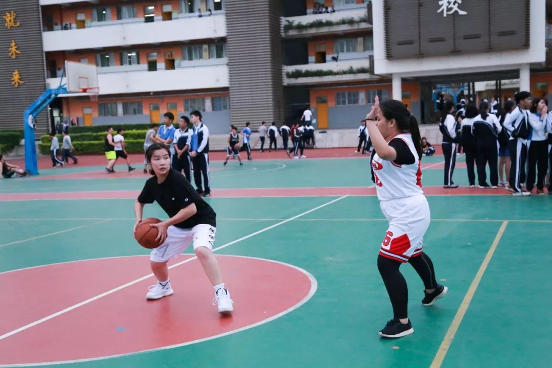 女子篮球联赛迎来新赛季，巾帼不让须眉的简单介绍